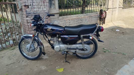 2024/2025 10/10 condition first owner