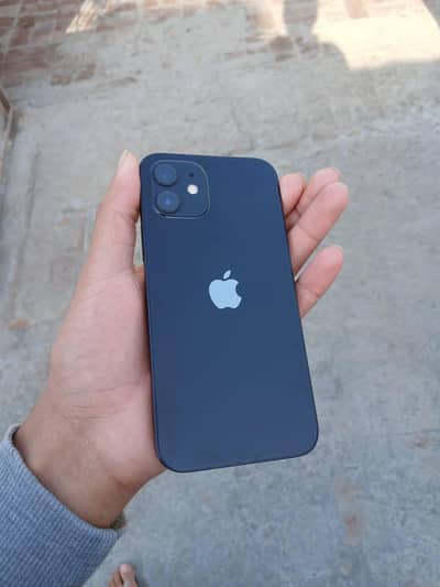 iPhone 12