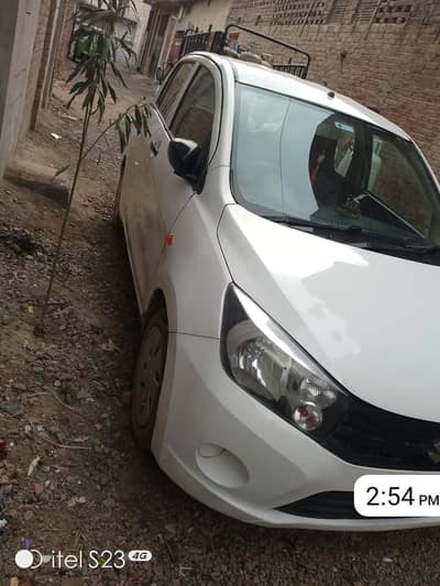 lush condition Cultus