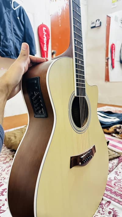 Semi Acoustic Guitar