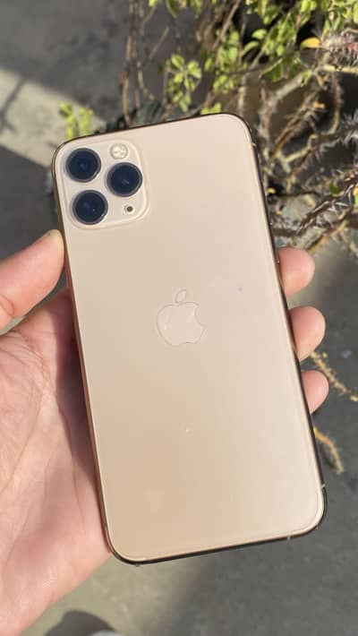 Iphone 11 Pro 256 GB Gold Pta Approved