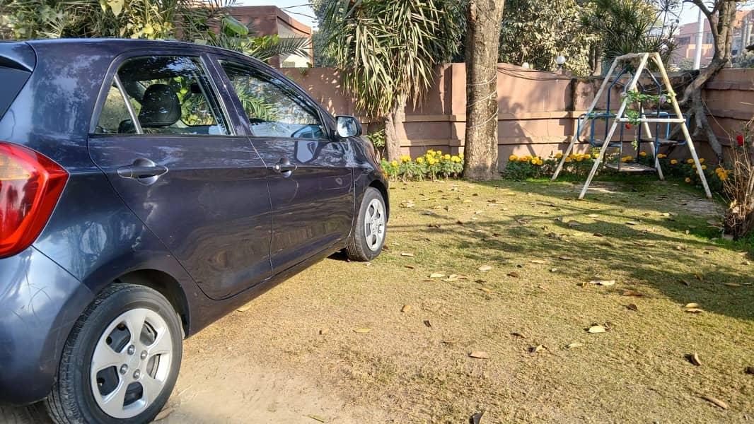 KIA picanto automatic 2020 5