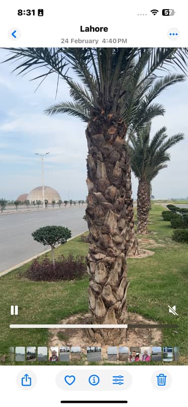 Lahore Smart City 7 Marla Executive East Plot Available For Sale