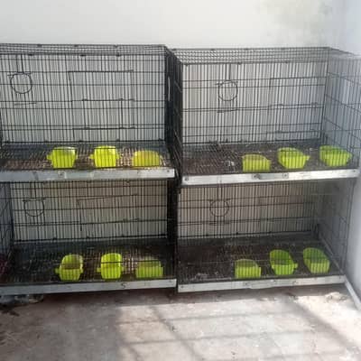 beautiful cage Size 2.5 to 1.5 fit