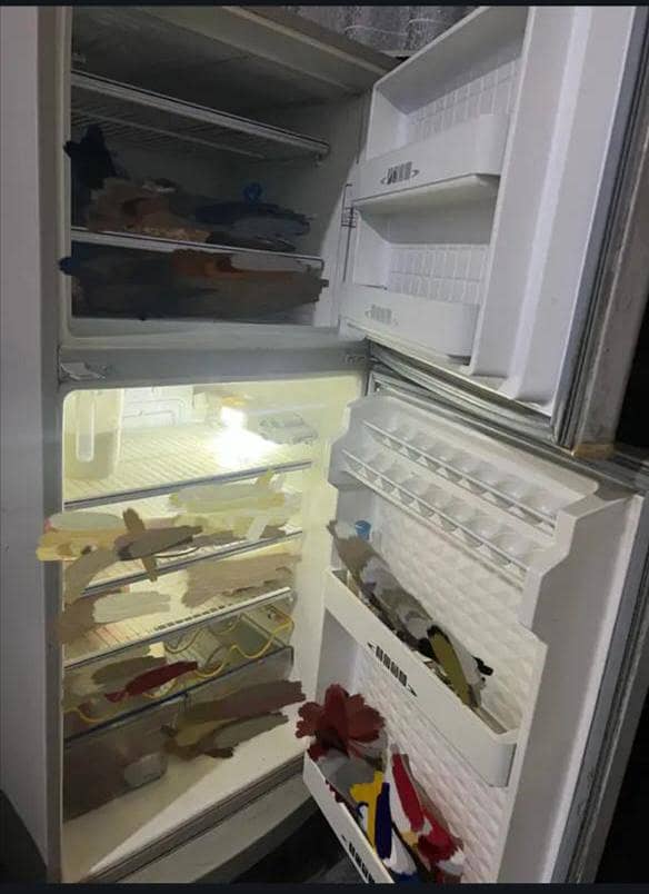 Refrigerator 10