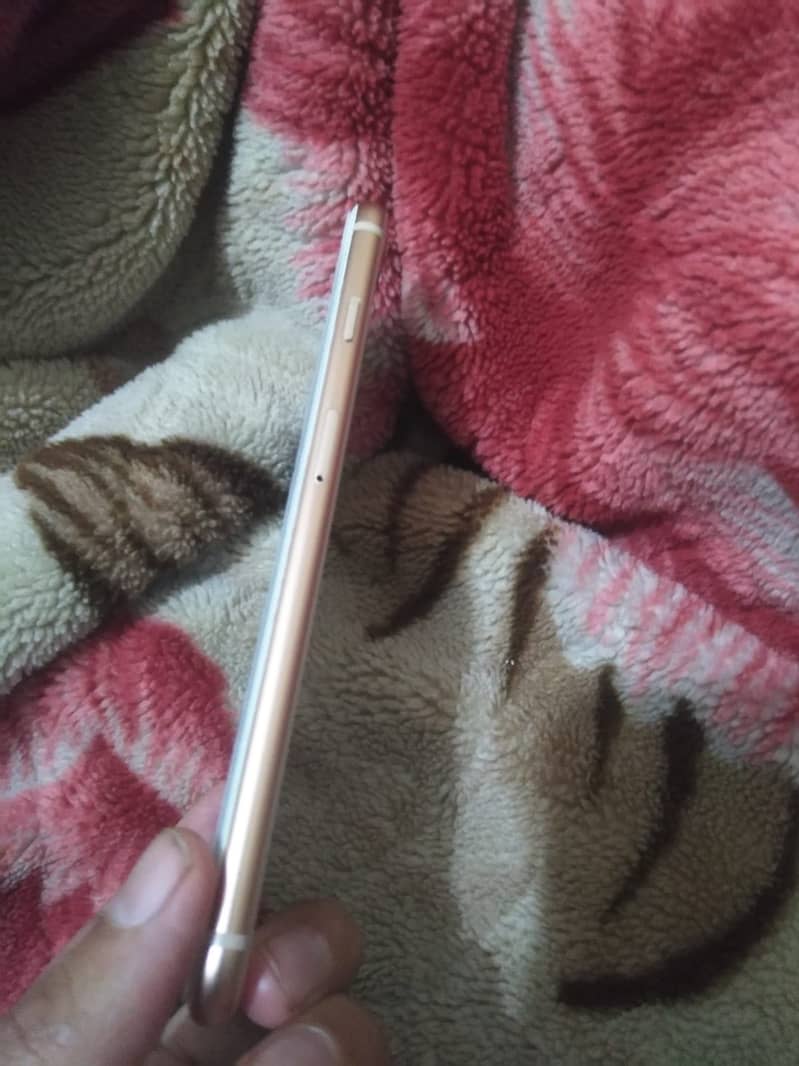 iPhone 8 Plus PTA approved 4