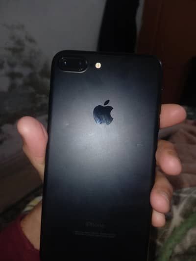 check and buy piece import from saudia arabia