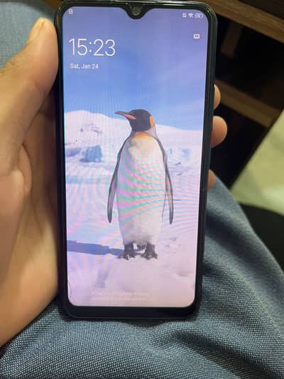Vivo Y11 PTA Approved