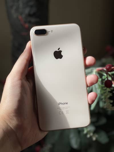 Iphone 8 plus pta approved