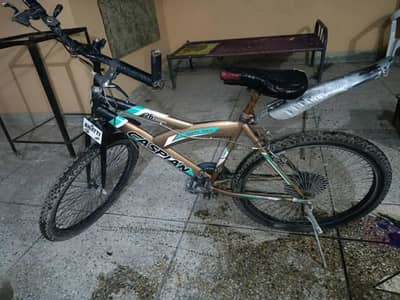 Caspian large size bicycle