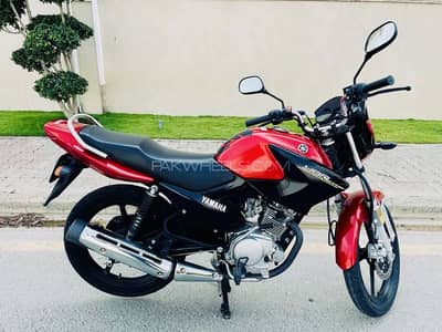 Yamaha YBR 125 2019