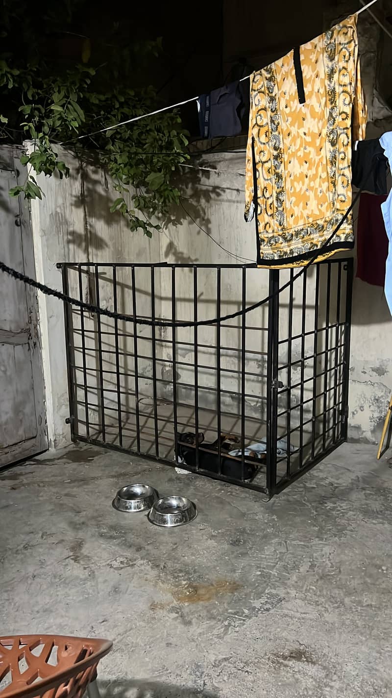 Dog cage 1