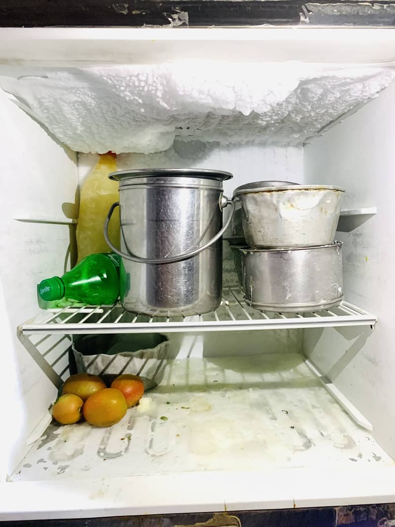 Pel Refrigerator ( kotsamba) inculuded 1k delevry Charges 5