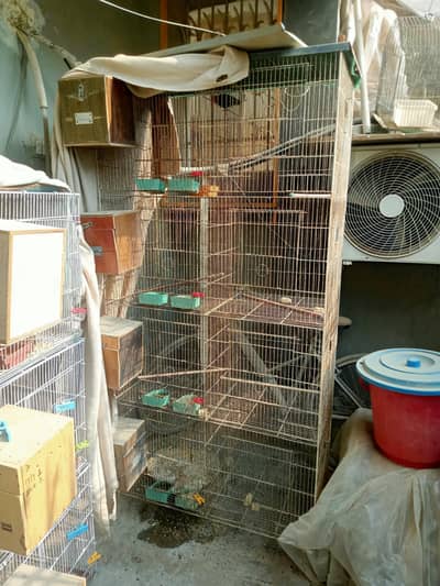 cage for java hen batair finch