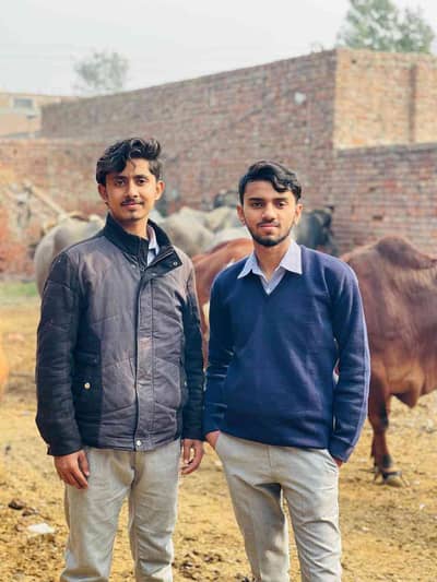 Husnain shah