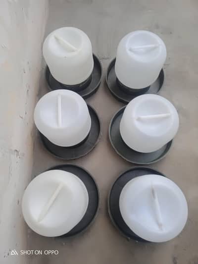 Birds water feedr for sale