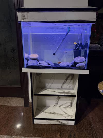 Freshwater aquarium