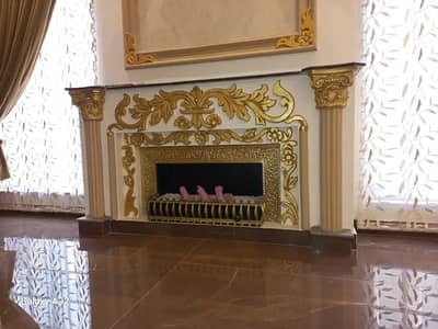 Gas fire place / fire place / fireplace / Electric fire place