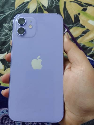 Iphone 12 Non PTA JV ( 64 GB )