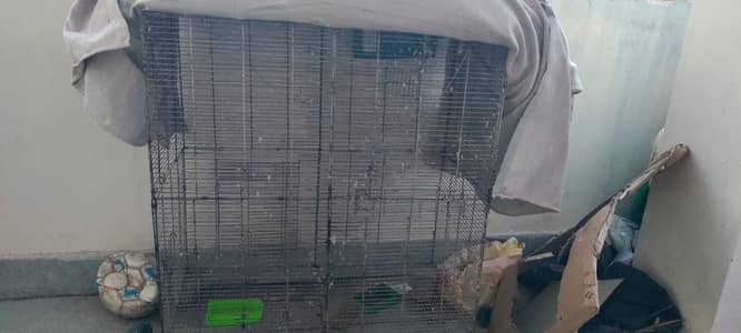 RAW parrot cage