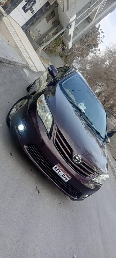 Toyota Corolla gli 2013 model