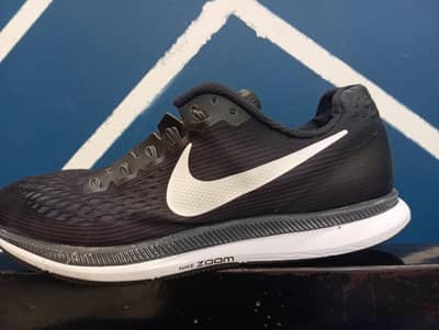 Nike zone pagasus 34