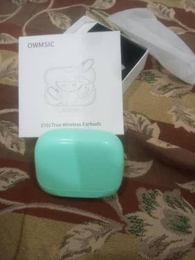 owmsic earbuds