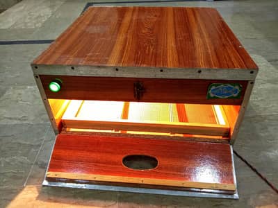 A+ condition 100 eggs Incubator with fan