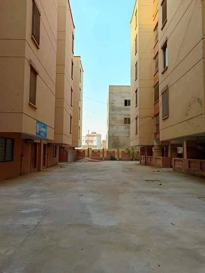 Royal and Luxury Apartment