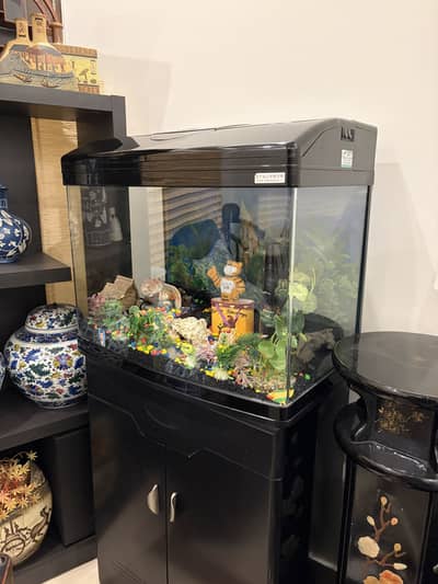 Imported Fish Aquarium with wooden cabinet