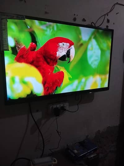 Samsung LED with Android box latest