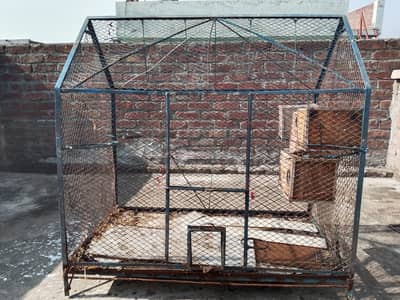 Bird cage