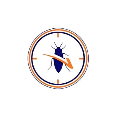 Termite Control Services In Karachi