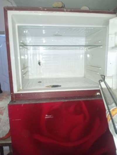 Full Size Fridge Glass Door