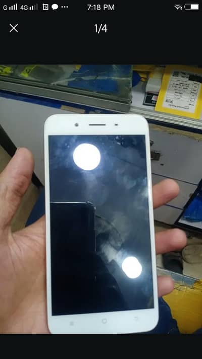 y66 vivo