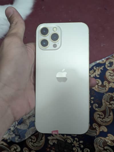Iphone 12 pro max non pta fu