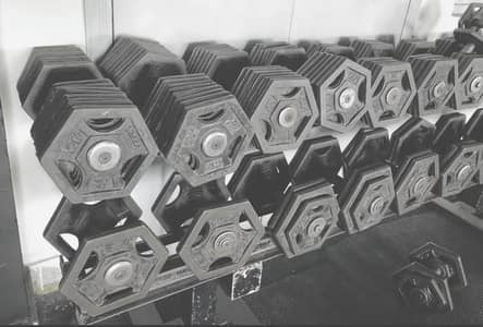 Used Dumbbells for sale