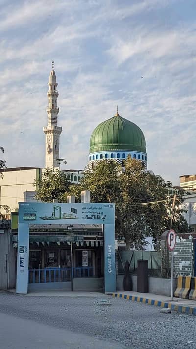 SyedShayanAli