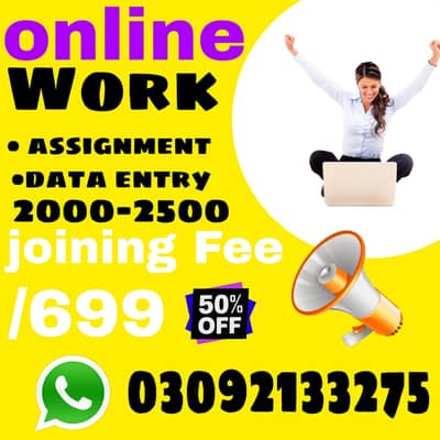 online work assignment and data entry work available