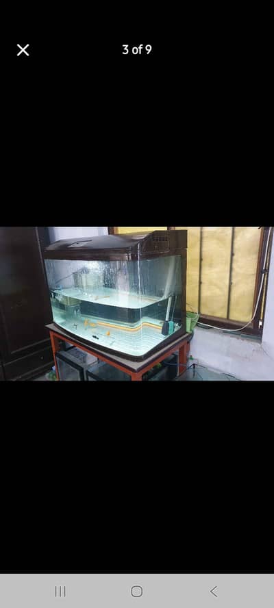 Aquarium imported curved glass
