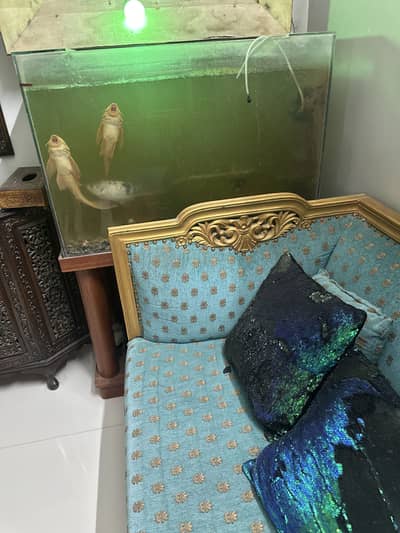 Aquarium for sell