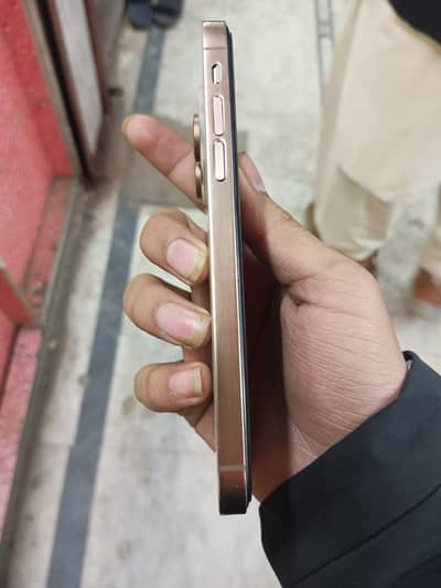 Whattsapp number 03710721525