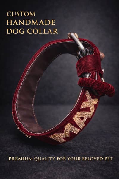 dog unique collar