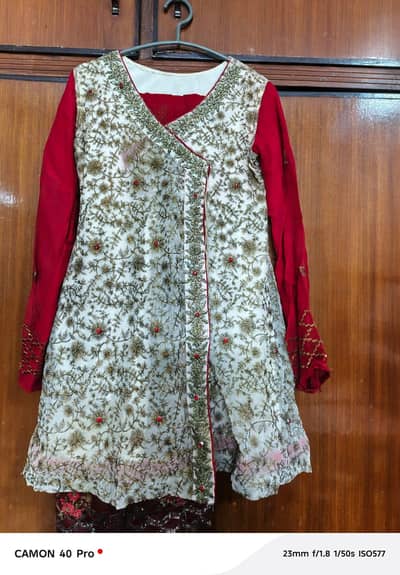 ladies giraro large size