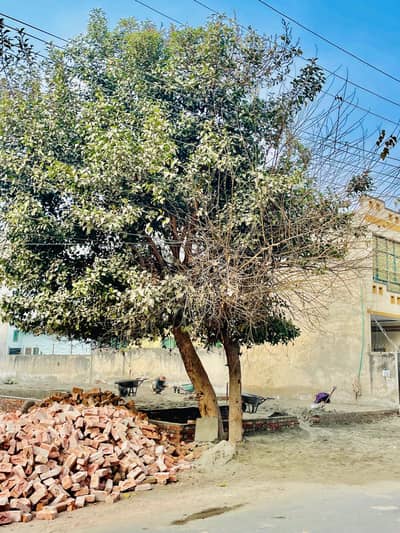 2Tree For sale in Sabzazar scheme