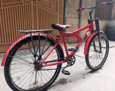 china bicycle