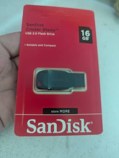 Sanding Flash Drive 16 GB