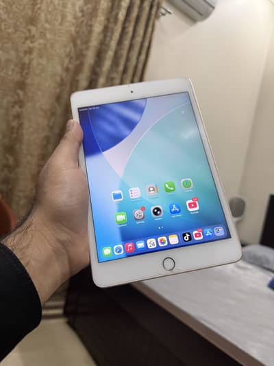 Ipad mini 5