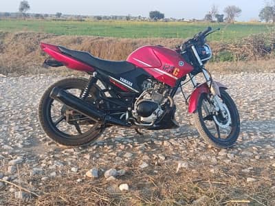 YBR 125