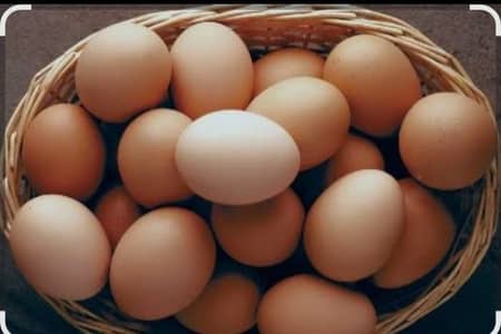 selling desi eggs